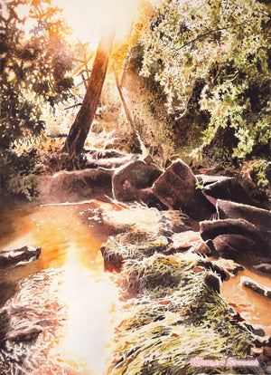 Vibrant Original Watercolor Painting of Sunlit Stream
